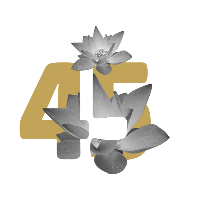 45+ 45+